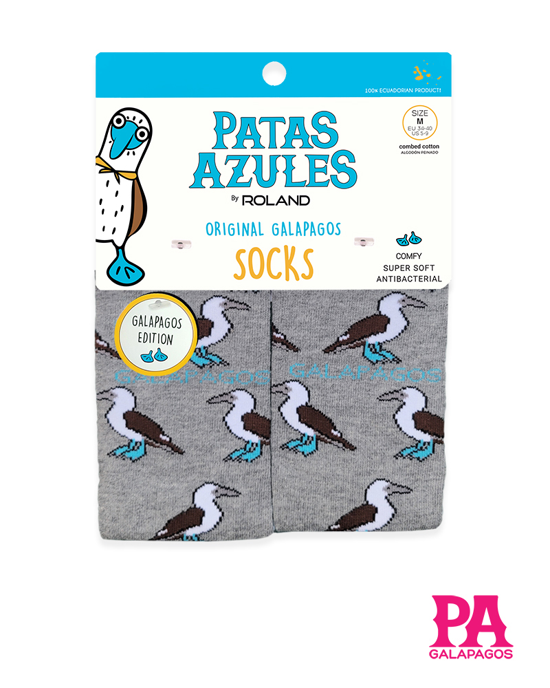 Piqueros patas azules fondo gris - Image 2