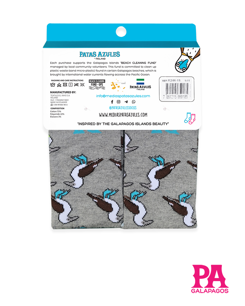 Piqueros patas azules fondo gris - Image 3