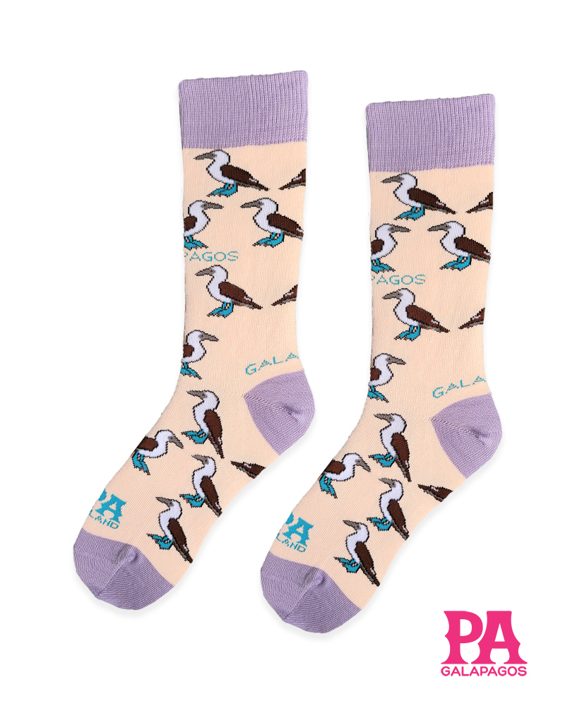 Piqueros patas azules fondo melón