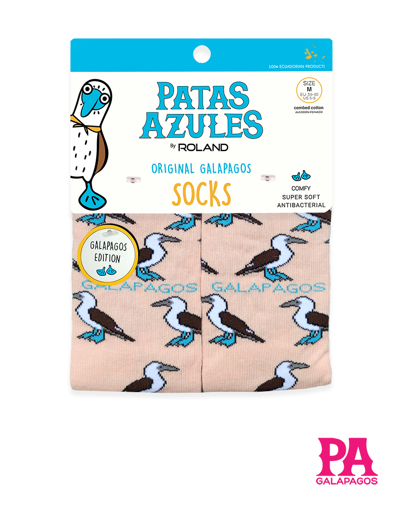 Piqueros patas azules fondo melón - Image 2