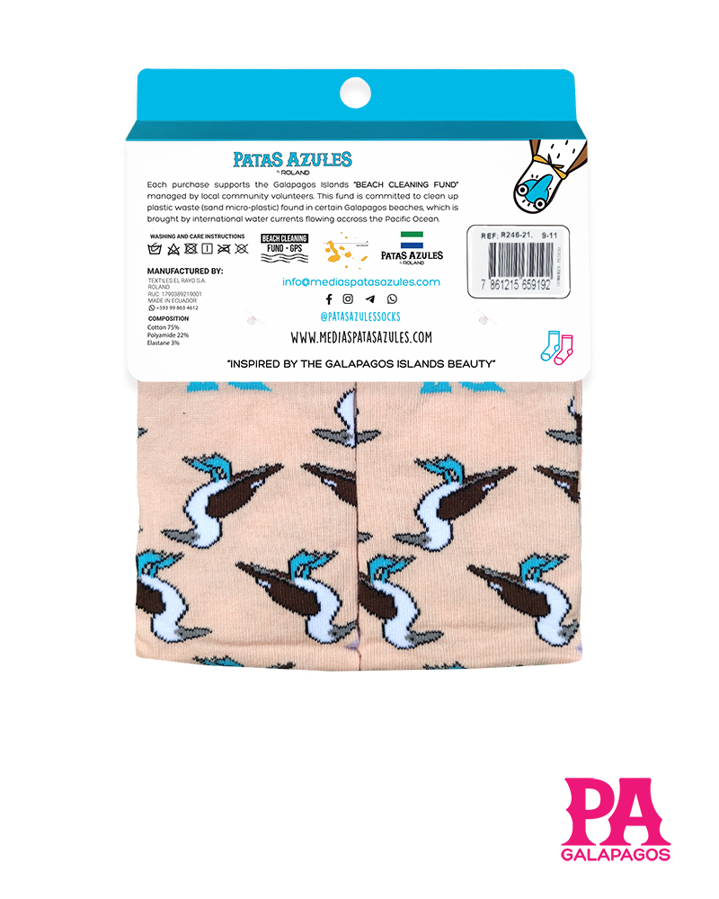 Piqueros patas azules fondo melón - Image 3