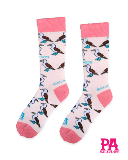 Piqueros patas azules fondo palo de rosa