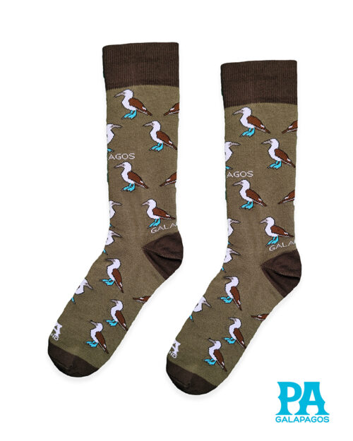 Piqueros patas azules fondo verde militar