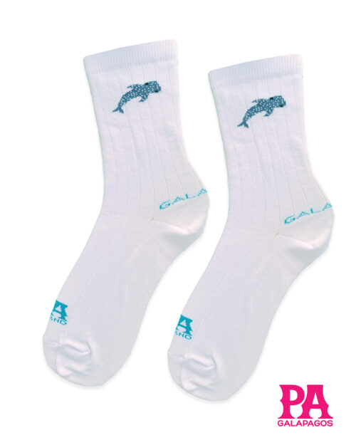 Tiburón ballena fondo blanco