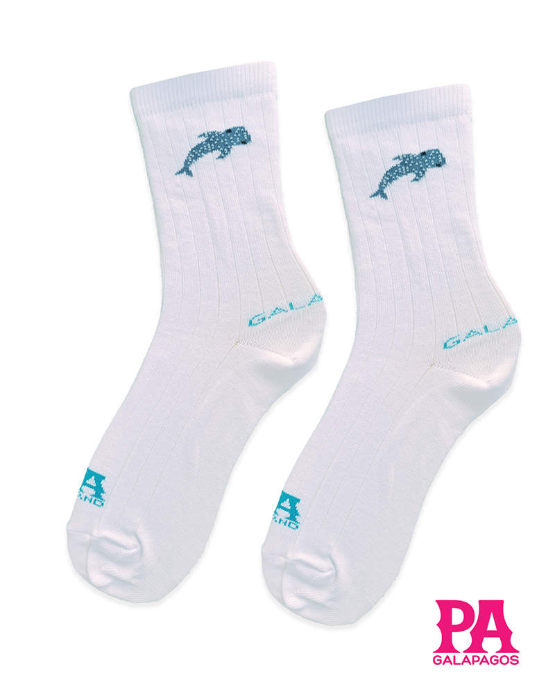 Tiburón ballena fondo blanco