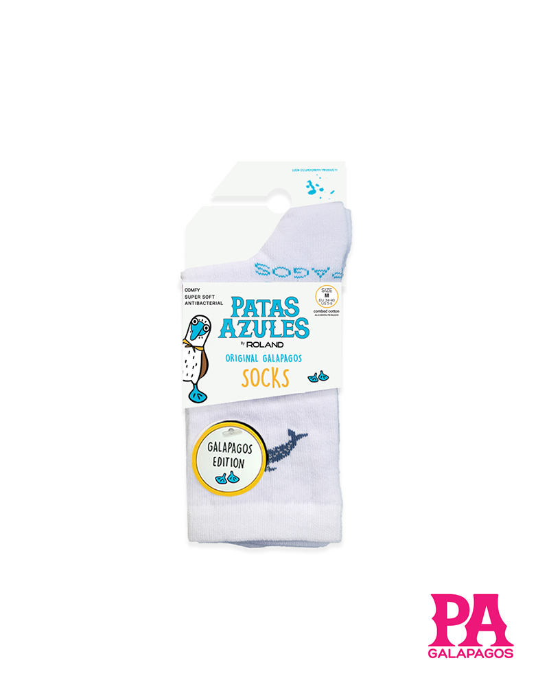 Tiburón ballena fondo blanco - Image 2