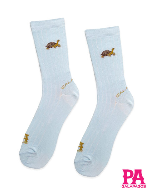 Tortuga terrestre fondo celeste