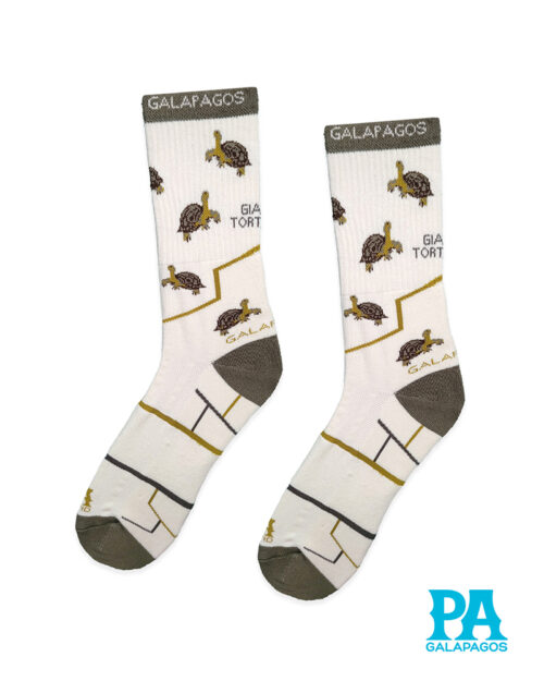 Tortuga terrestre fondo crudo