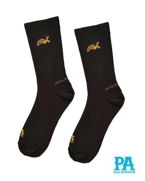 Tortuga terrestre fondo negro