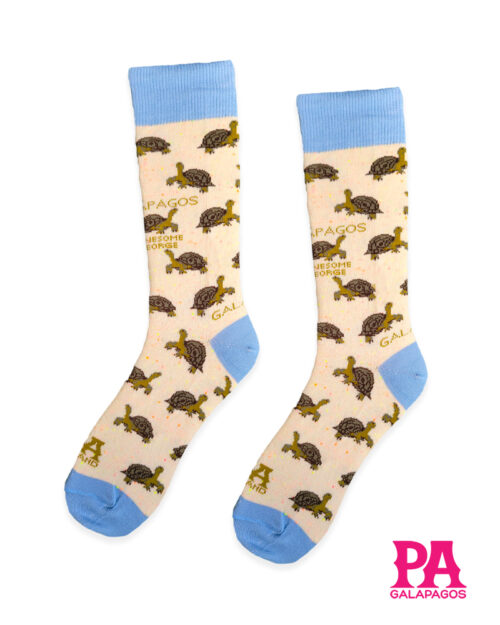 Tortugas terrestres fondo crema con puntos naranjas