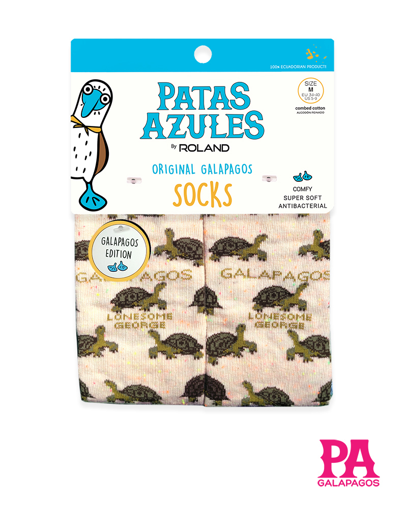 Tortugas terrestres fondo crema con puntos naranjas - Image 2