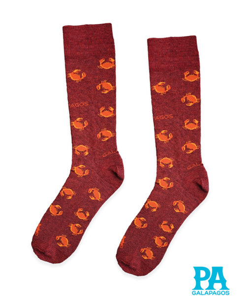 Zayapa fondo color ladrillo