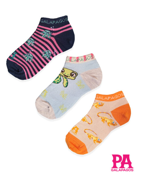 IGUANAS TERRESTRES, MEDUSAS Y TORTUGAS MARINAS