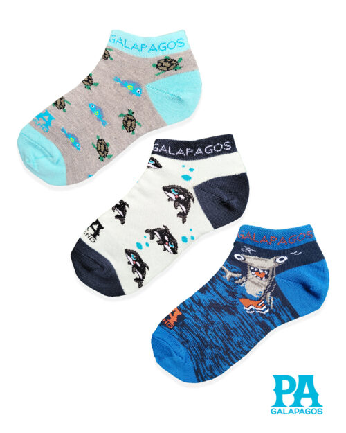 ORCAS, TORTUGAS MARINAS Y TIBURONES MARTILLO