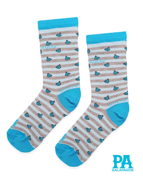 PATITAS AZULES FONDO RAYAS CELESTES Y GRISES