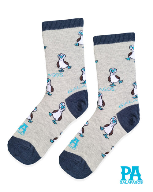 PIQUEROS PATAS AZULES FONDO GRIS