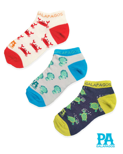 TORTUGAS MARINAS, CABALLITOS DE MAR Y CANGREJOS