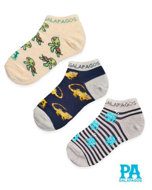 TORTUGAS MARINAS, MEDUSAS E IGUANAS TERRESTRES