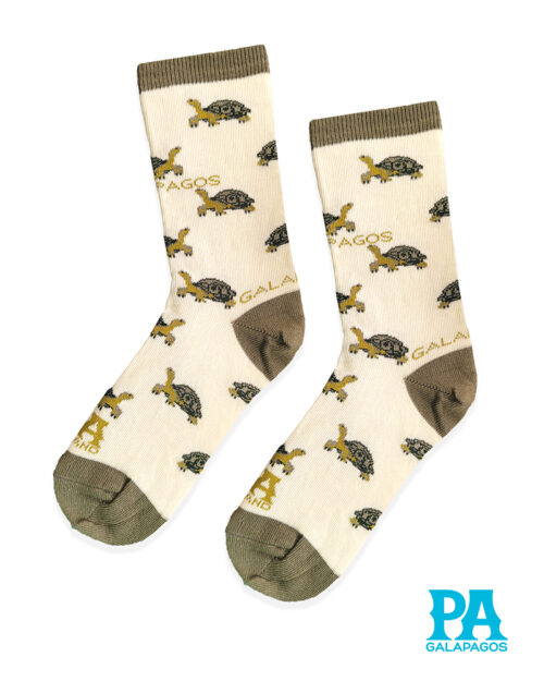 TORTUGAS TERRESTRES FONDO CRUDO