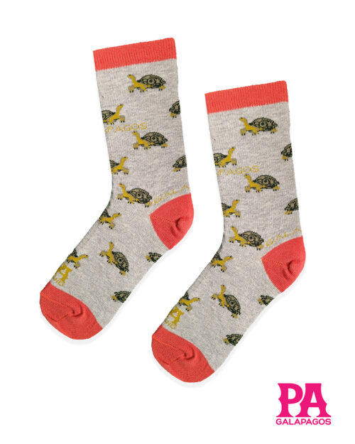 TORTUGAS TERRESTRES FONDO GRIS Y VINO