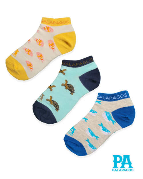 TORTUGAS TERRESTRES, PECES Y BALLENAS