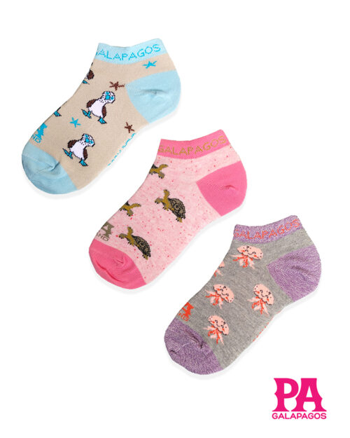 TORTUGAS TERRESTRES, PIQUEROS Y MEDUSAS