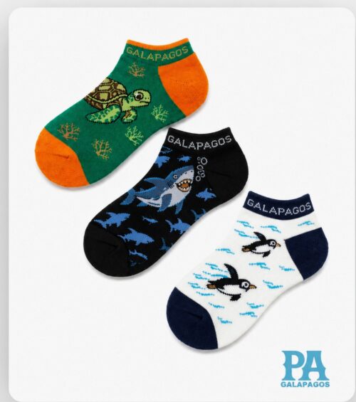 TORTUGAS MARINAS. PINGÜINOS Y TIBURONES MARTILLO