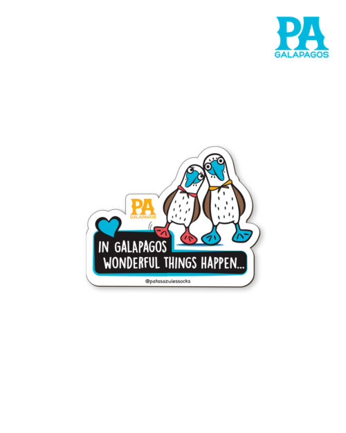 Imán De Pareja De Piqueros Patas Azules In Galapagos Wonderful Things Happen