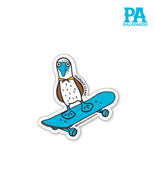 Imán De Piquero De Patas Azules En Patineta Celeste