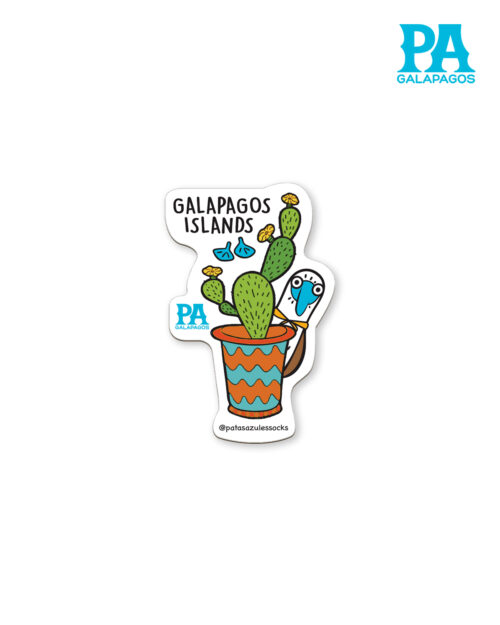 Imán De Piquero De Patas Azules Escondido Detrás De Opuntia