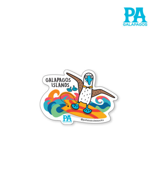 Imán De Piquero De Patas Azules Surfeando En Galápagos
