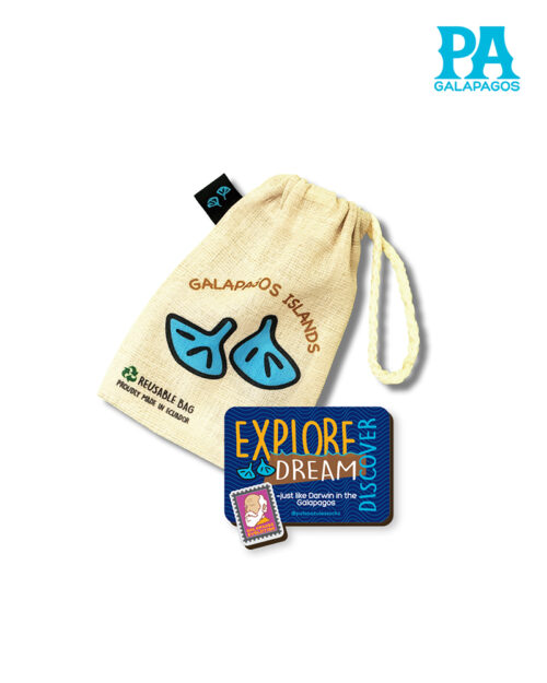 Imán Encapsulado De Frase Explore, Dream, Discover Con Charles Darwin