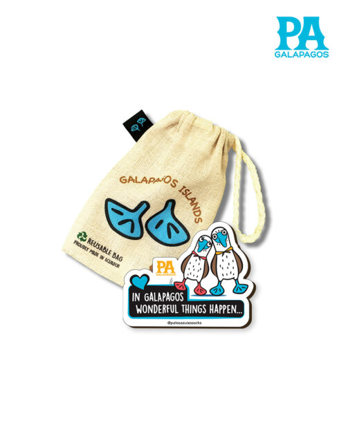 Imán Encapsulado De Pareja De Piqueros Patas Azules In Galapagos Wonderful Things Happen