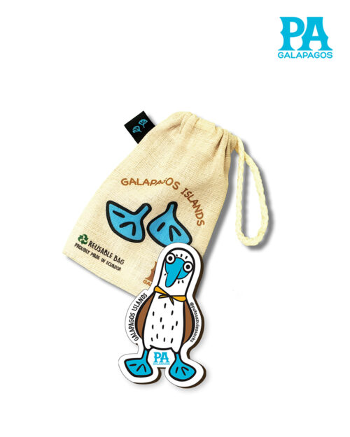 Imán Encapsulado De Piquero De Patas Azules Con Logo Celeste