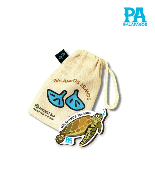 Imán Encapsulado De Tortuga Marina De Galápagos