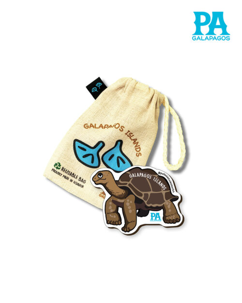 Imán Encapsulado De Tortuga Terrestre De Galápagos