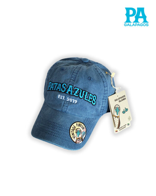 Gorra Estilo Vintage Descolorida Con Bordado Patas Azules Azul Jean