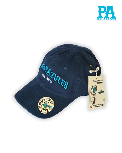 Gorra Estilo Vintage Descolorida Con Bordado Patas Azules Azul Oscuro