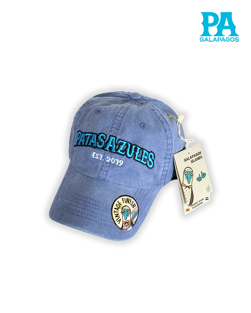 Gorra Estilo Vintage Descolorida Con Bordado Patas Azules Celeste