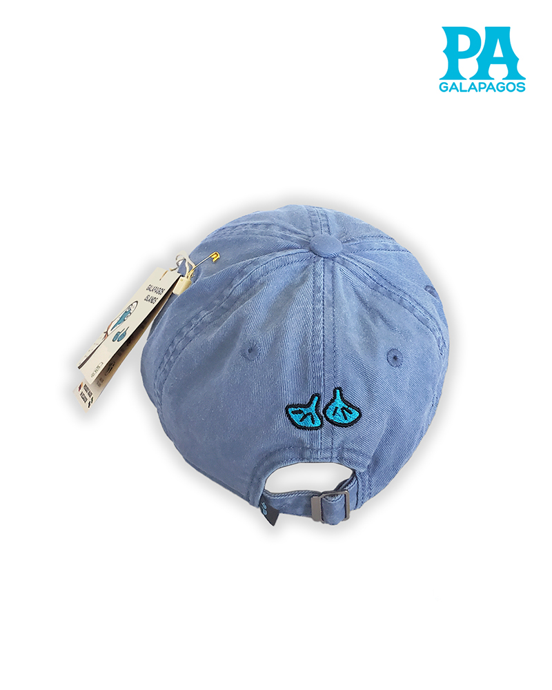 Gorra Estilo Vintage Descolorida Con Bordado Patas Azules Celeste - Image 2