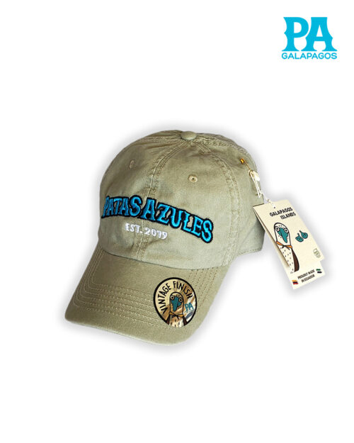 Gorra Estilo Vintage Descolorida Con Bordado Patas Azules Khaki