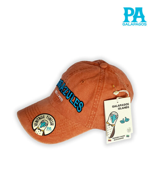 Gorra Estilo Vintage Descolorida Con Bordado Patas Azules Naranja