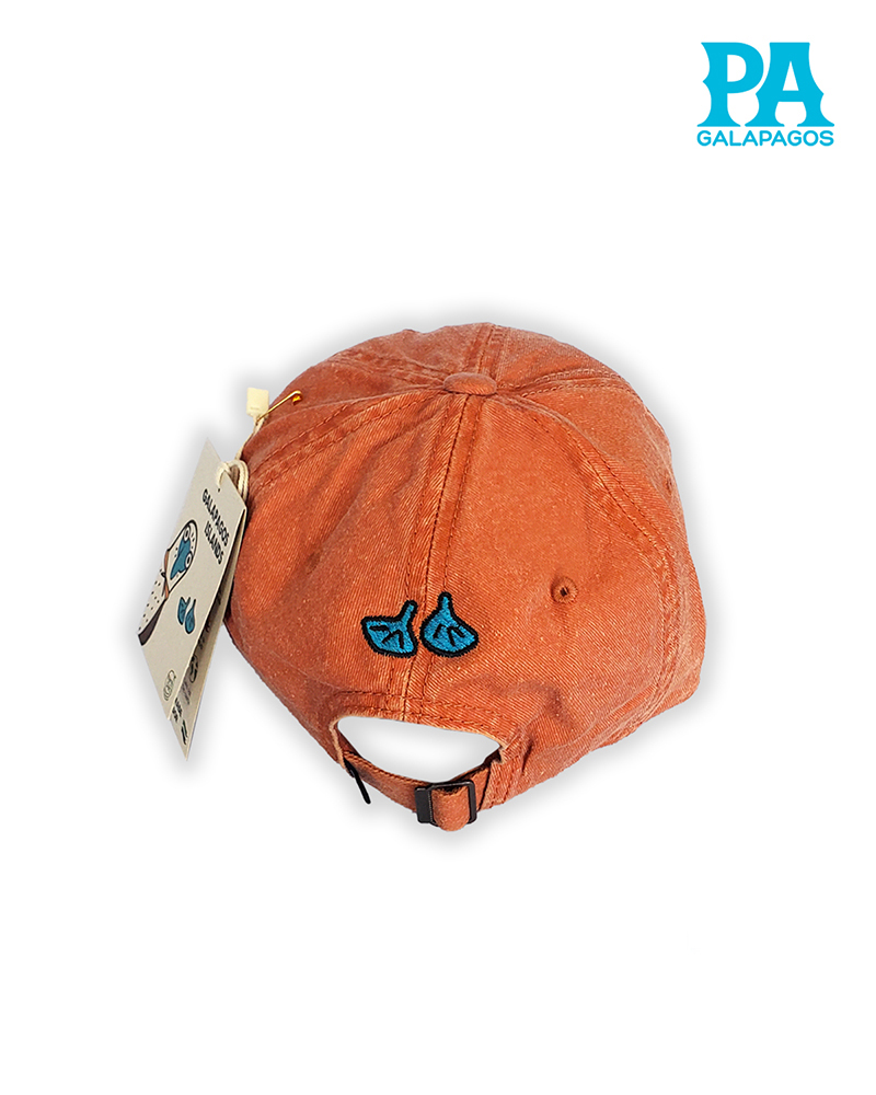 Gorra Estilo Vintage Descolorida Con Bordado Patas Azules Naranja - Image 2