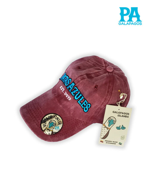 Gorra Estilo Vintage Descolorida Con Bordado Patas Azules Vino