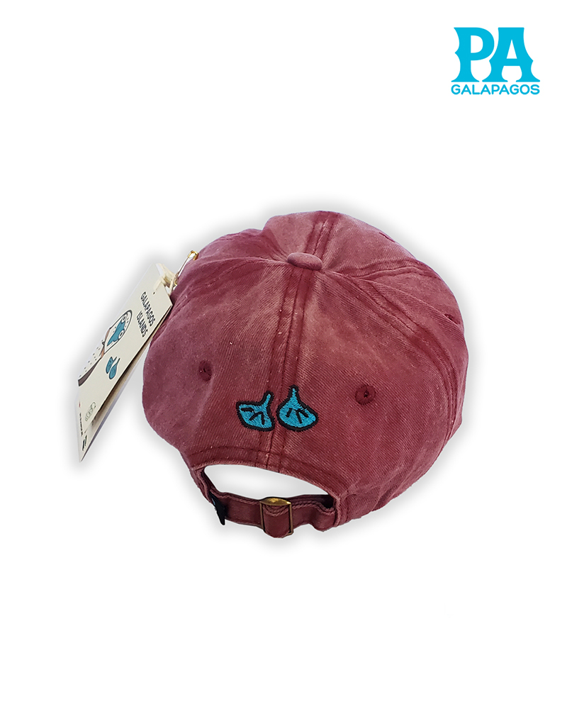 Gorra Estilo Vintage Descolorida Con Bordado Patas Azules Vino - Image 2