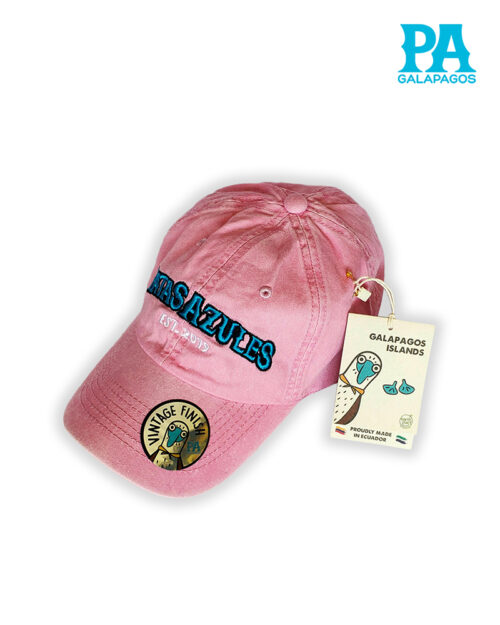 Gorra Estilo Vintage Descolorida Con Bordado Patas Azules Rosada