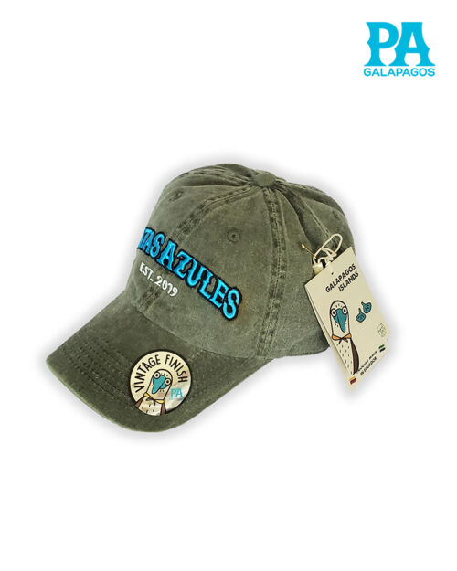 Gorra Estilo Vintage Descolorida Con Bordado Patas Azules Verde Militar