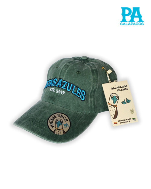 Gorra Estilo Vintage Descolorida Con Bordado Patas Azules Verde