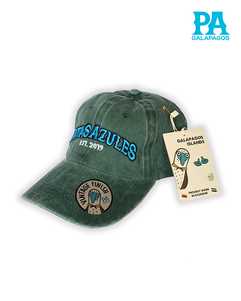 Gorra Estilo Vintage Descolorida Con Bordado Patas Azules Verde