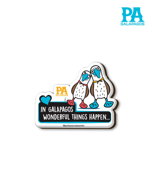 Imán encapsulado de pareja de piqueros patas azules in Galápagos wonderful things happen